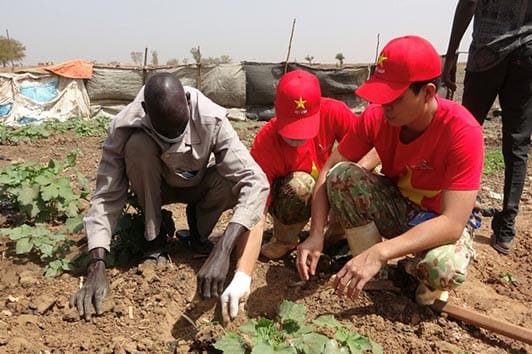 Đoàn viên thanh niên Bệnh viện dã chiến hướng dẫn người dân Nam Sudan trồng rau xanh