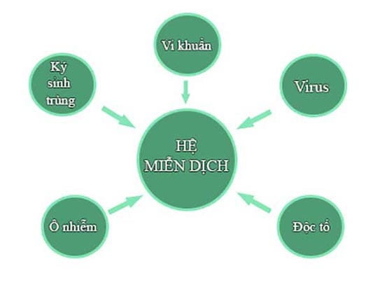 Cơ chế hoạt động của Vắc xin