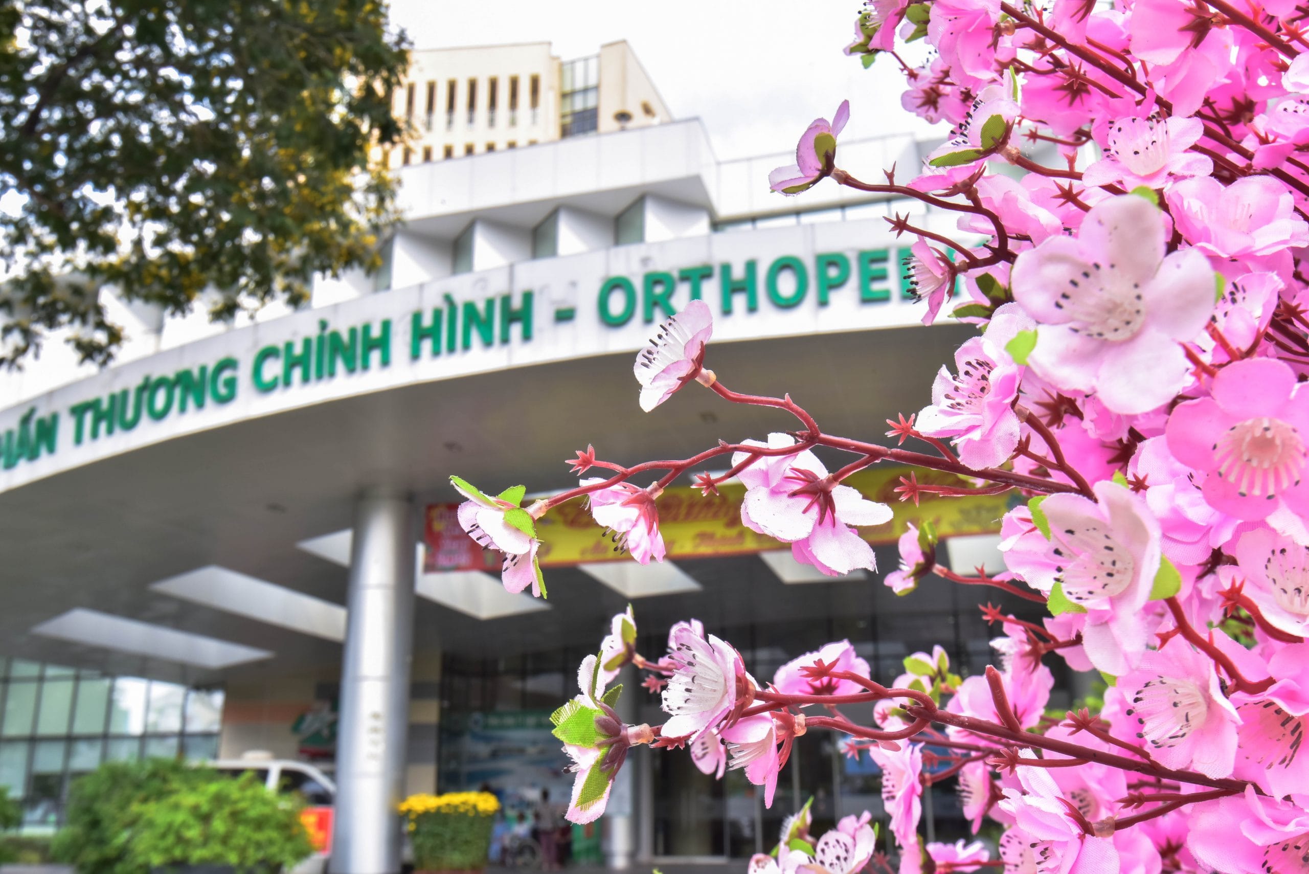 Rộn ràng sắc xuân tại Bệnh viện Quân y 175