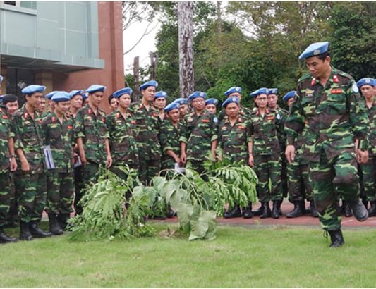 Thể hiện trách nhiệm và vị thế Việt Nam