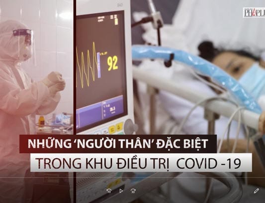 Những ‘người thân’ đặc biệt tại khu điều trị COVID-19 nặng