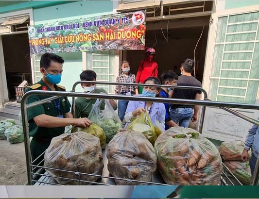Tuổi trẻ Bệnh viện Quân y 175 hỗ trợ tiêu thụ 15 tấn nông sản tỉnh Hải Dương