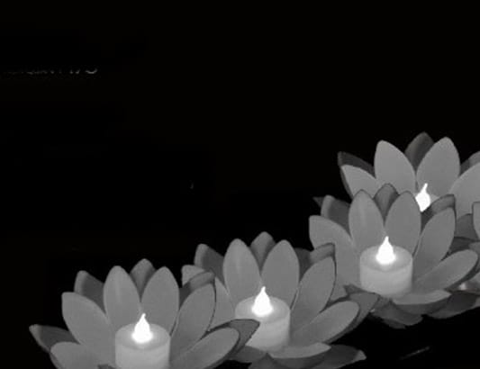 Tưởng niệm hơn 23.000 nạn nhân COVID-19