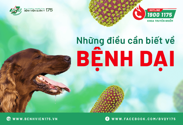 Những điều cần biết về bệnh dại